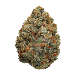 Big Willy Style THCA Flower Strain Ounces and Quarter Pounds