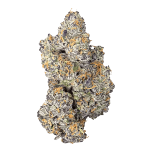 living soil grown exotic purple runtz thca flower thc-a flower